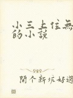 小三上位无三观的小说