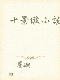 十景缎小说