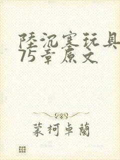 陆沉塞玩具高速75章原文