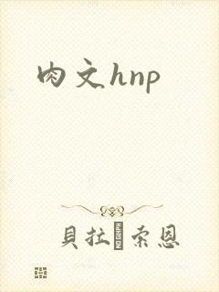 肉文hnp