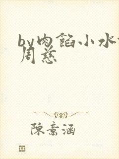 by肉馅小水饺周慈封面