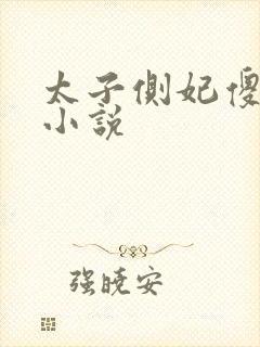 太子侧妃傻乎乎小说