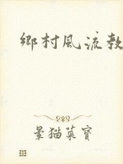 乡村风流教师封面