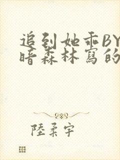 追到她乖BY黑暗森林写的小说封面