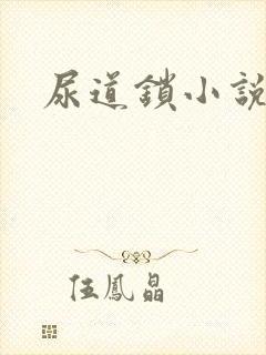 尿道锁小说