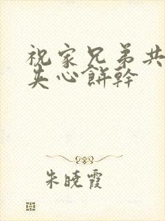 祝家兄弟共享后夹心饼干封面