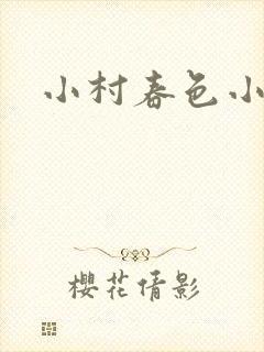 小村春色小说