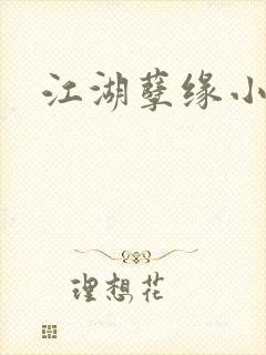 江湖孽缘小说