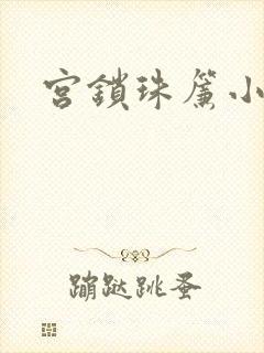 宫锁珠帘小说