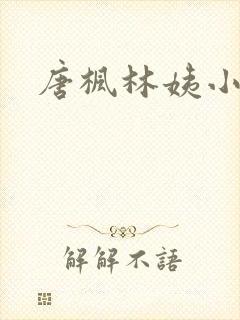 唐枫林姨小说