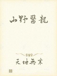 山野医龙