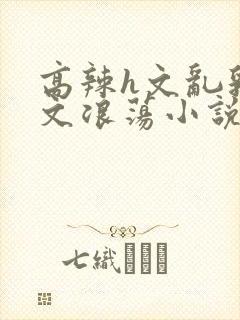 高辣h文乱乳h文浪荡小说苏柔封面