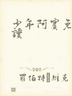少年阿宾免费阅读