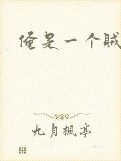 俺是一个贼