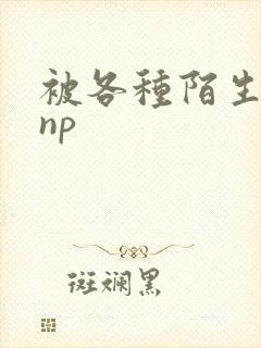 被各种陌生人 np