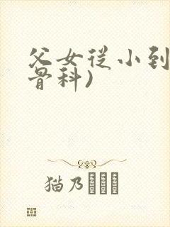 父女从小到大(骨科)