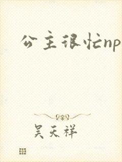 公主很忙npc