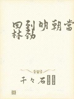 回到明朝当王爷林劲