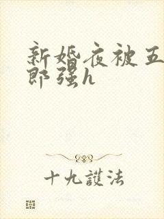 新婚夜被五个伴郎强h