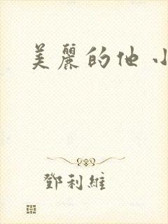 美丽的他 小说