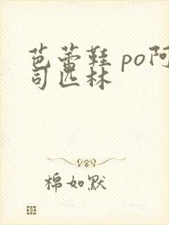 芭蕾鞋 po阿司匹林