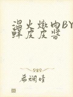 温火炖肉BY海鲜皮皮酱