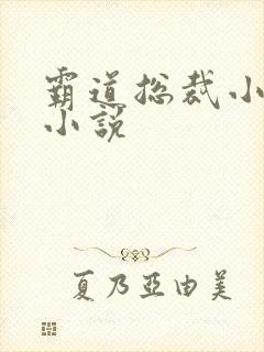 霸道总裁小娇妻小说