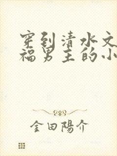 穿到清水文里造福男主的小说
