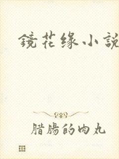 镜花缘小说