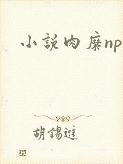 小说肉糜np