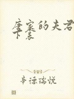 唐家的夫君们帘下衾