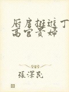 厨房挺进丁字裤高官贵妇