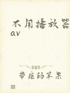 不用播放器的gav
