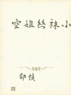空姐丝袜小说