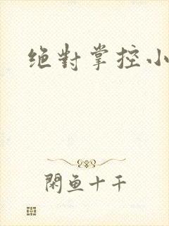 绝对掌控小说