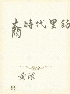 大时代里的小军阀封面