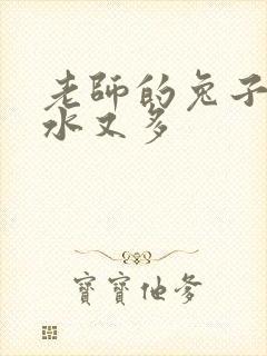 老师的兔子又软水又多