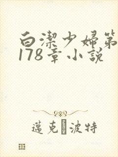 白洁少妇第1一178章小说