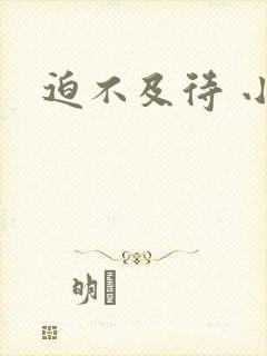 迫不及待 小穴