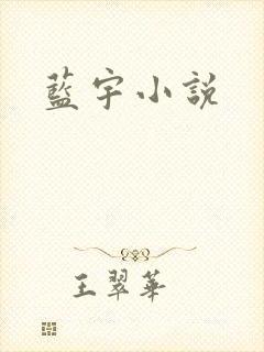 蓝宇小说