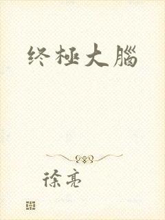 终极大脑