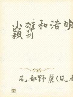 小雄和浩明夹击颖莉