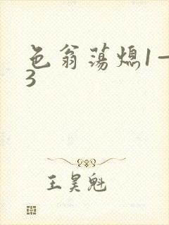 色翁荡熄1—13封面