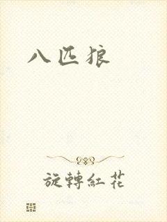 八匹狼