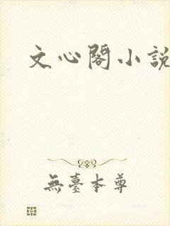 文心阁小说