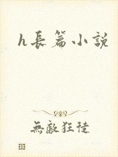 h长篇小说封面