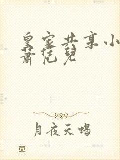 皇家共享小公主萧凭儿