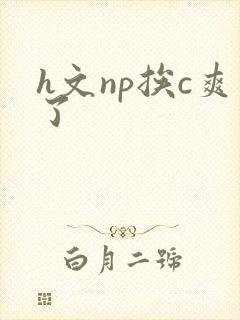 h文np挨c爽了