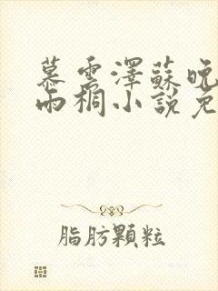 慕云泽苏晚晴夏雨桐小说免费阅读