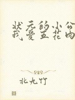 状元的小公主(我爱五花肉)